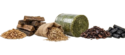 Zardanab Biomass Solutions